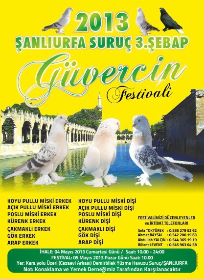 2013 anlurfa Suru 3. ebap Gvercin Festivali